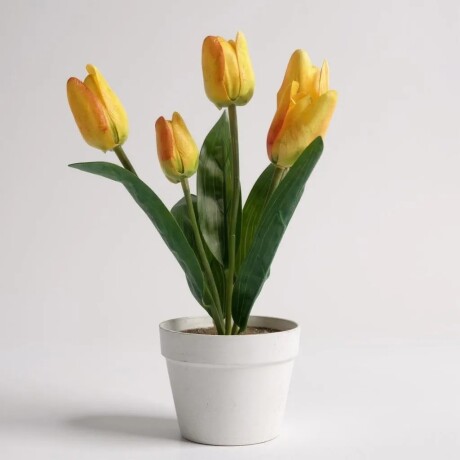 Planta Con Maceta Flor Tulipán Amarillo