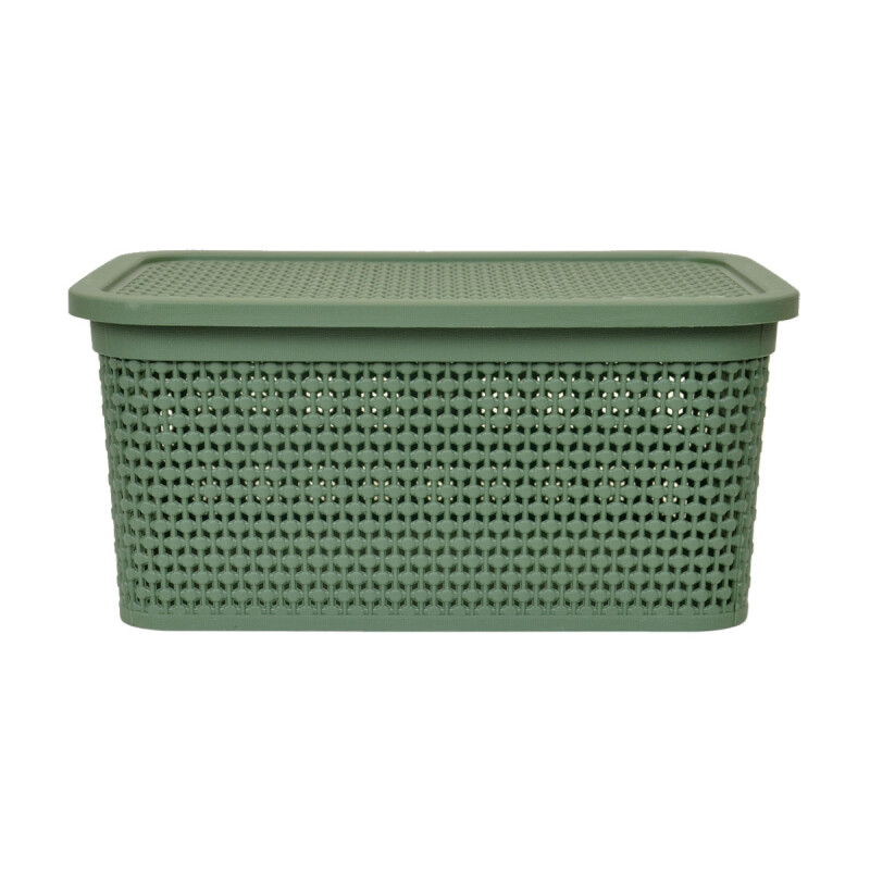 Set x2 Caja simil ratán 4 lts VERDE
