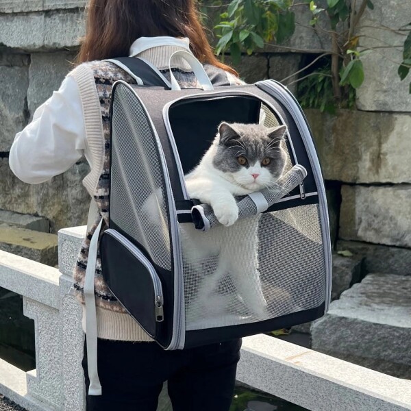 Mochila Bolso Trasportadora Malla Mascota Perros Gatos Viaje Mochila Bolso Trasportadora Malla Mascota Perros Gatos Viaje