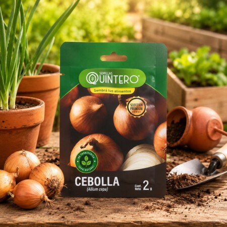 SEMILLA DE CEBOLLA TEXAS GRANO 2 GRAMOS SEMILLA DE CEBOLLA TEXAS GRANO 2 GRAMOS