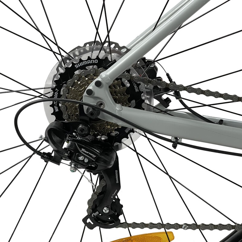 Bicicleta Giant Rincon 2 Mtb Aluminio Rodado 29 Gris