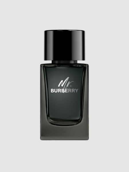 Perfume Burberry Mr. Burberry EDP 100ml 0