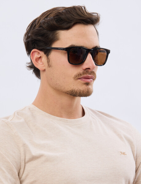 LENTES POLARIZADOS Marron