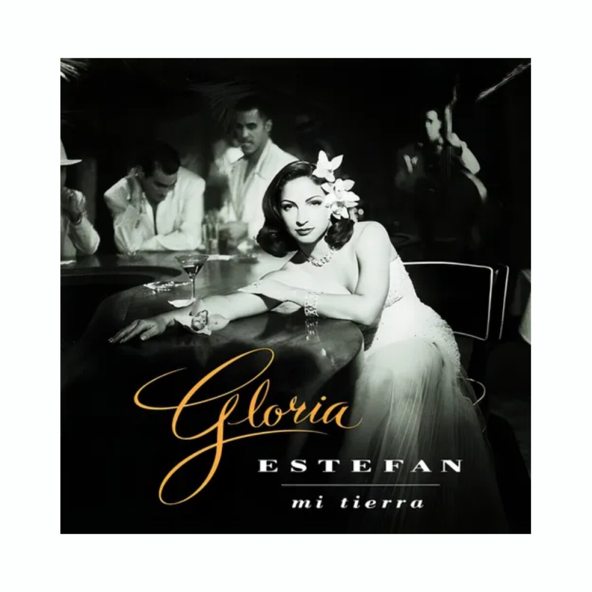 Estefan, Gloria - Mi Tierra - Vinilo 