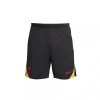 SHORT TERCERA EQUIPACION STRIKE LIVERPOOL FC Black