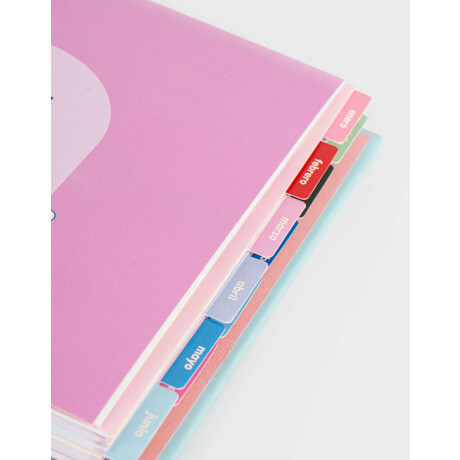 Agenda Ositos 2026 Combinacion Multicolor