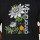 Camiseta Mburucuya Brixton Negra