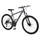 Bicicleta Montaña 26 Cuadro Acero Freno Disco 21 Cambios Gris