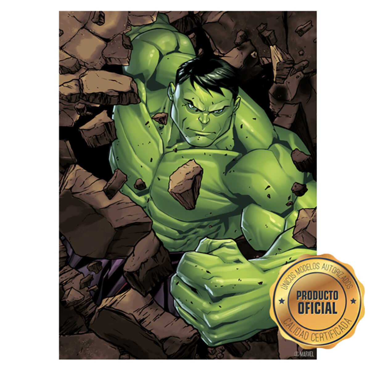 Lámina Avengers Personajes - Hulk Piedras Rect. 