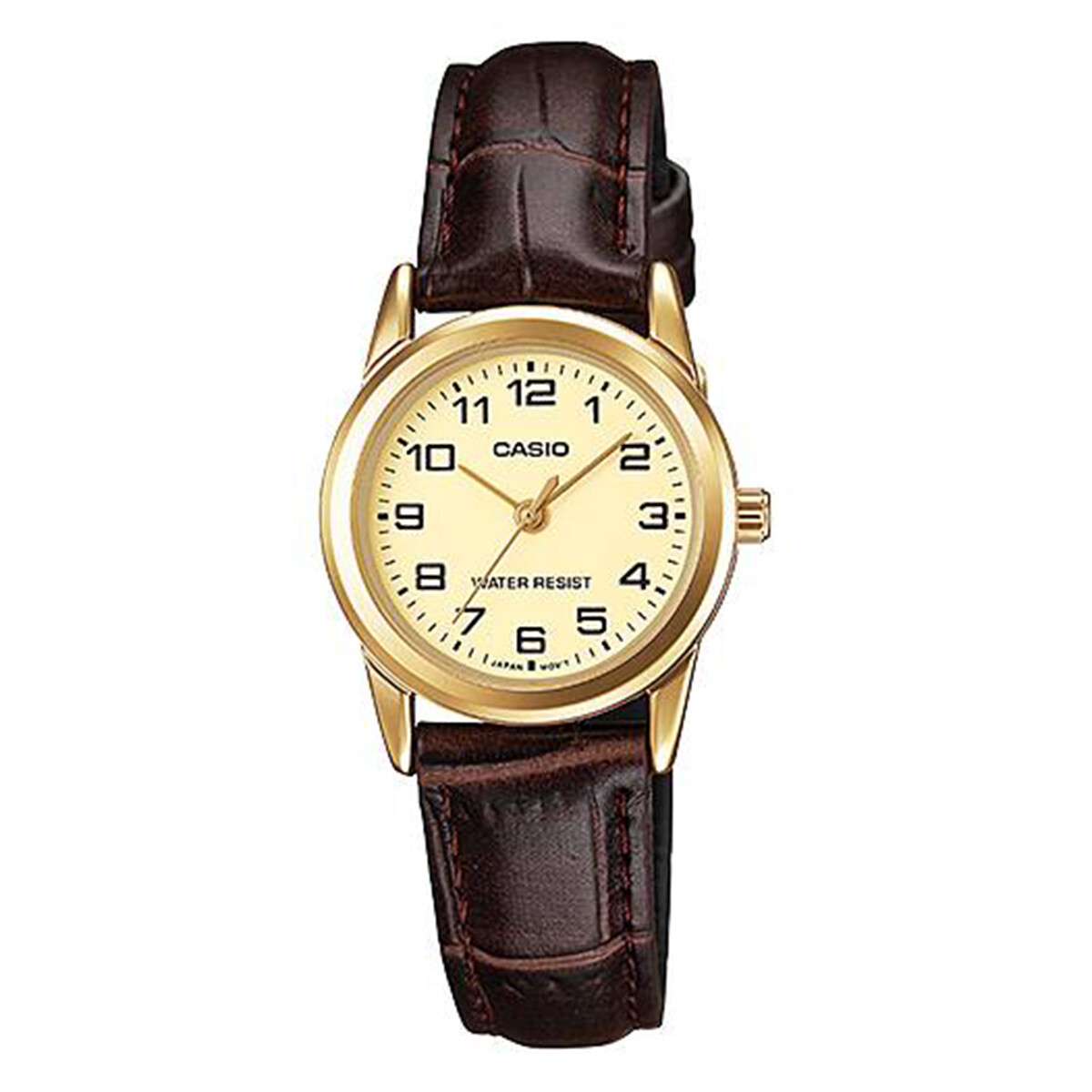 Reloj CASIO LTPV001GL-9BUDF Cuero Marron Esfera 25mm 