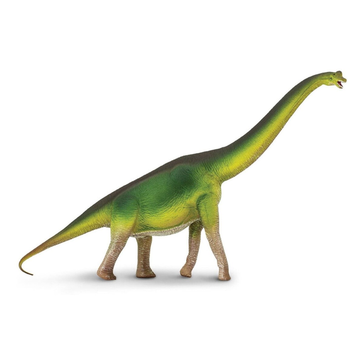 Brachiosaurus Safari Dinosaurio Braquiosaurio Figura Muñeco 