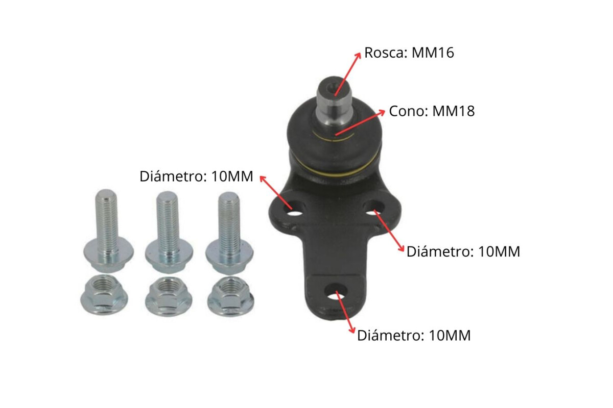 Rotula Ford Focus 98-05 Der/Izq Rotula Ford Focus 98-05 Der/Izq