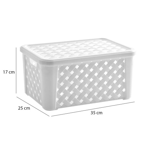 Caja Canasto Organizador Rattan c/ Tapa Paramount 35x25x17Cm Blanco