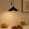 COLGANTE CELEIRO 1L E27 NEGRO Y MADERA D45CM COLGANTE CELEIRO 1L E27 NEGRO Y MADERA D45CM