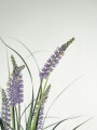 Planta Grass Violet 95cm Color Unico