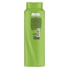 Acondicionador Prebióticos Más Biotina Sedal 650 ml Acondicionador Prebióticos Más Biotina Sedal 650 ml