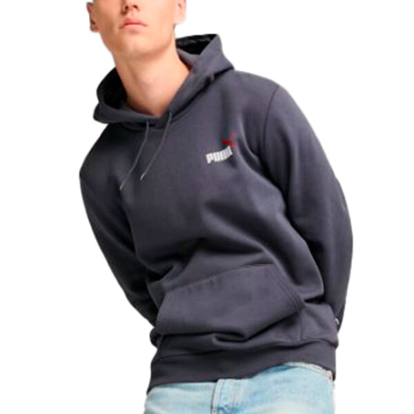 Puma Ess+ 2 Col Small Logo Hoodie Fl Gris