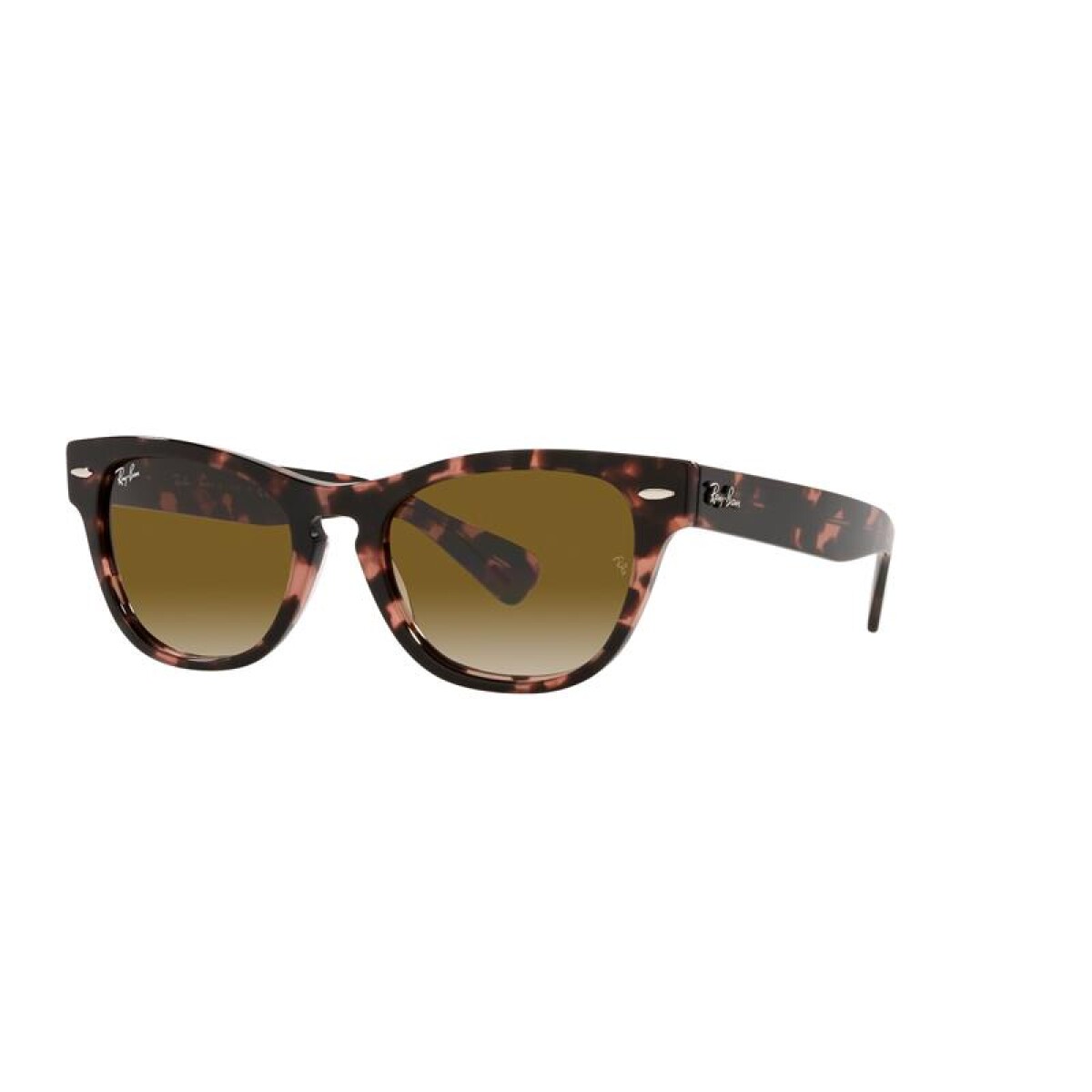 Ray Ban Rb2201 Laramie - 1334/51 