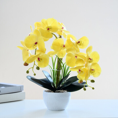 Orquidea Con Maceta Blanca Amarillo