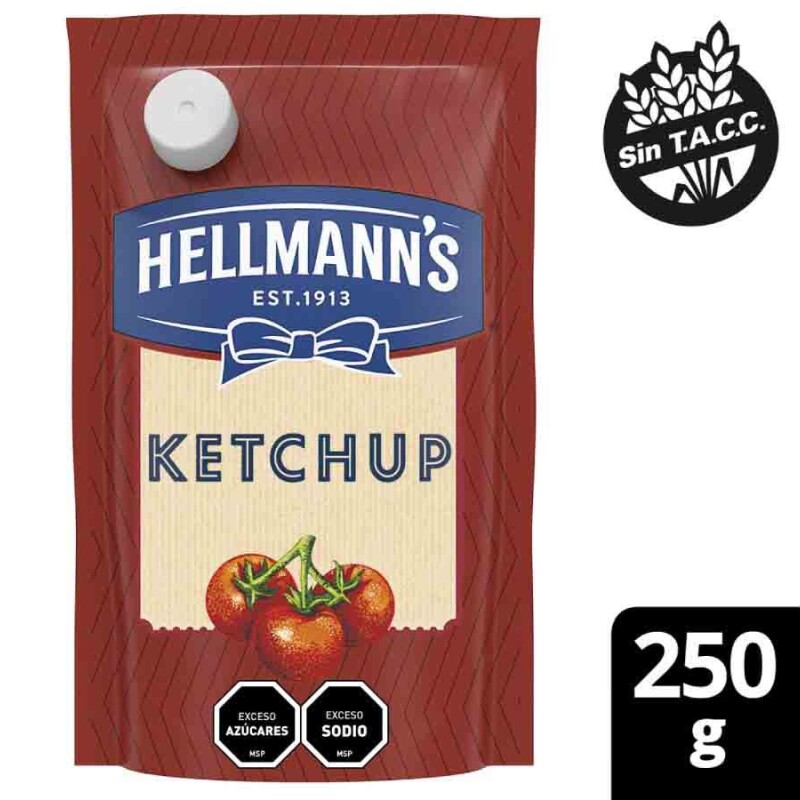 KETCHUP HELLMANNS 250GR KETCHUP HELLMANNS 250GR