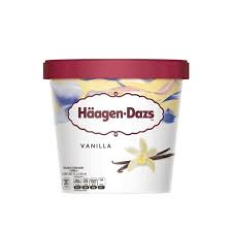 HAAGEN DAZS 100ML VAINILLA HAAGEN DAZS 100ML VAINILLA