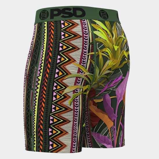 Calzoncillos PSD Aztec Fronds Multicolor