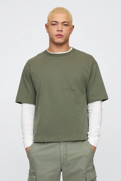 Remera Vintage Soft Hombre Thyme 19-0309 Tcx