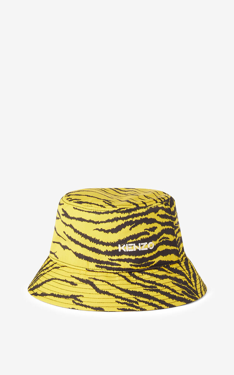 CAP/HAT 