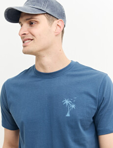 520312 T-SHIRT HARRY Azul Piedra