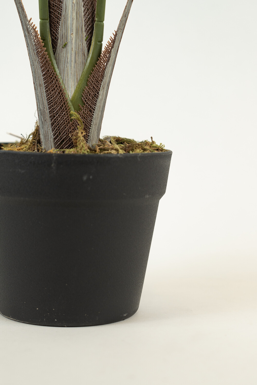 Planta Palm100cm Color Unico