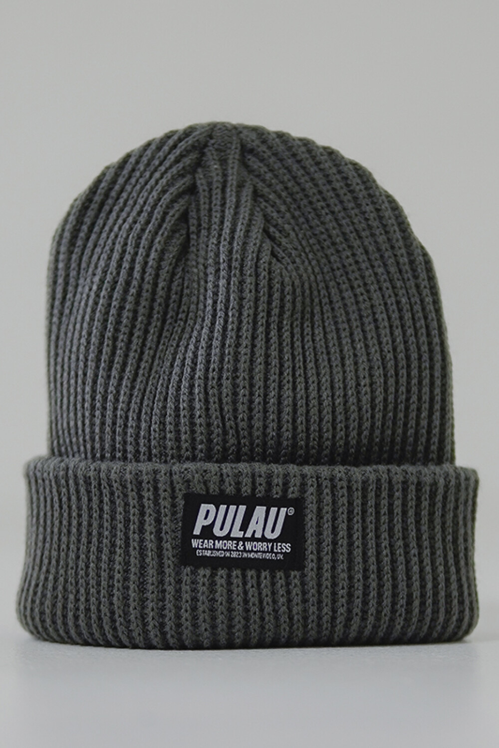 Gorro Pulau Beanie Patagonia Gris