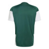 REMERA ADIDAS ITALIA TR JSY Hombre JZ9374 Verde