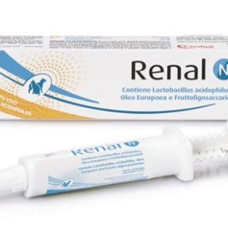 Renal N Pasta Renal N Pasta