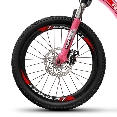 Bicicleta Montaña Rodado 20 Frenos Disco 21 Cambios Rosa