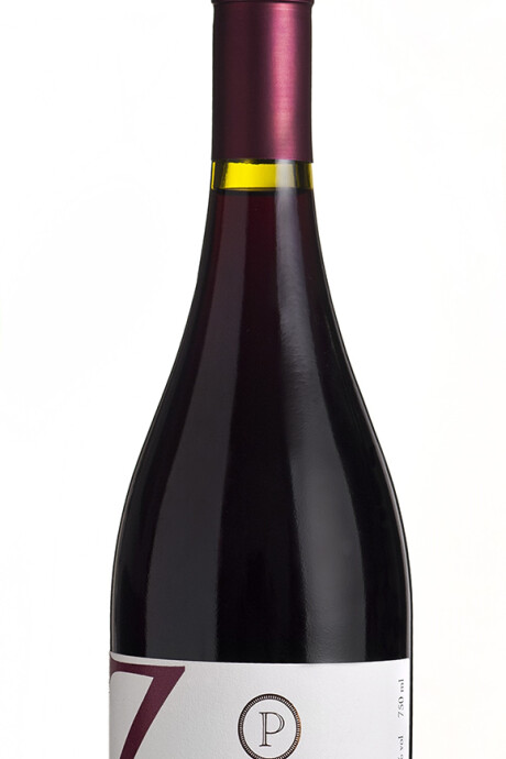 PIZZORNO RESERVA Pinot Noir PIZZORNO RESERVA Pinot Noir