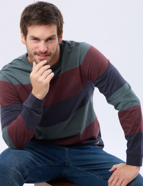 REMERA RAYADA CON ESTAMPA Azul