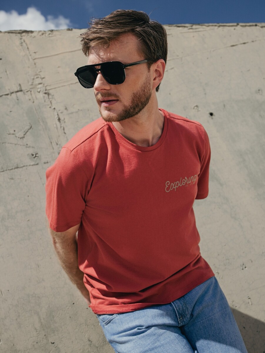 Remera Aarón. 