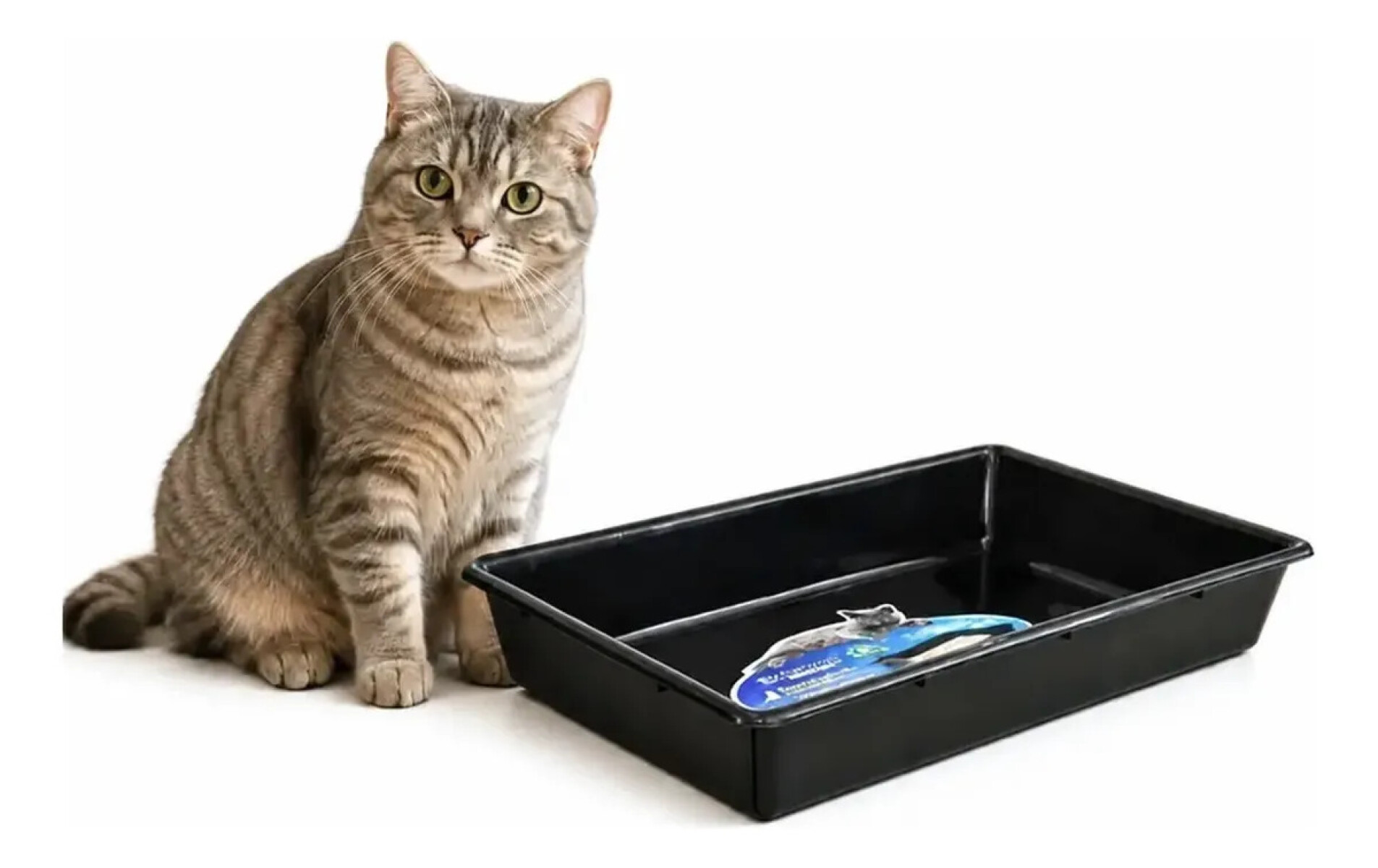 Bandeja Sanitaria Para Gato 