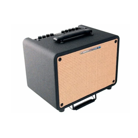 Amplificador De Guitarra Acústica Ibanez 30 Watts Amplificador De Guitarra Acústica Ibanez 30 Watts