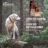 VITALCAN BALANCED EXCLUSIVE PERROS ADULTOS CERDO 3 KG
