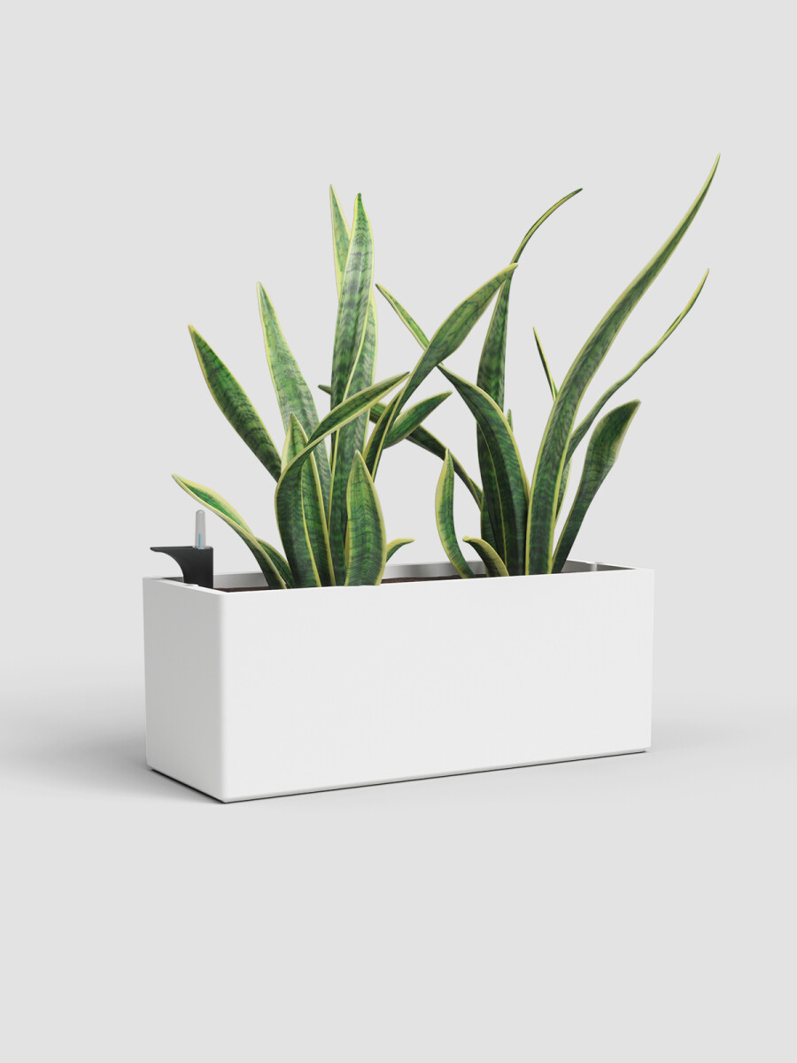 JARDINERA CON SISTEMA AUTO RIEGO RIMINI BLANCA