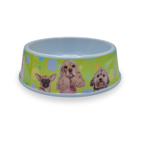 Plato Comida Agua Mascota Perros Gatos Comedero Bebedero Variante Color Verde