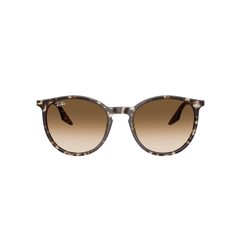 Ray Ban Rb2204 1431/51