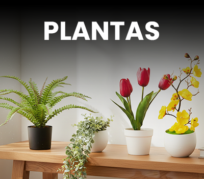 PLANTAS MARZO 26