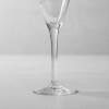 Copa labrada de cristal para champagne - Cristal Darques Copa labrada de cristal para champagne - Cristal Darques