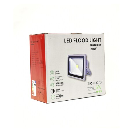 Foco Reflector LED 30W Foco Reflector LED 30W