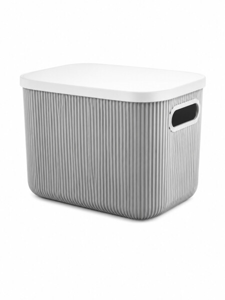 CAJA ORGANIZADORA CON TAPA GRIS