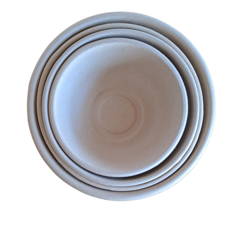 BOWL BAGAZO REDONDO 186*61mm 32oz - 50UDS (BOW5035) Bowl Bagazo Redondo 186*61mm 32oz - 50uds (bow5035)