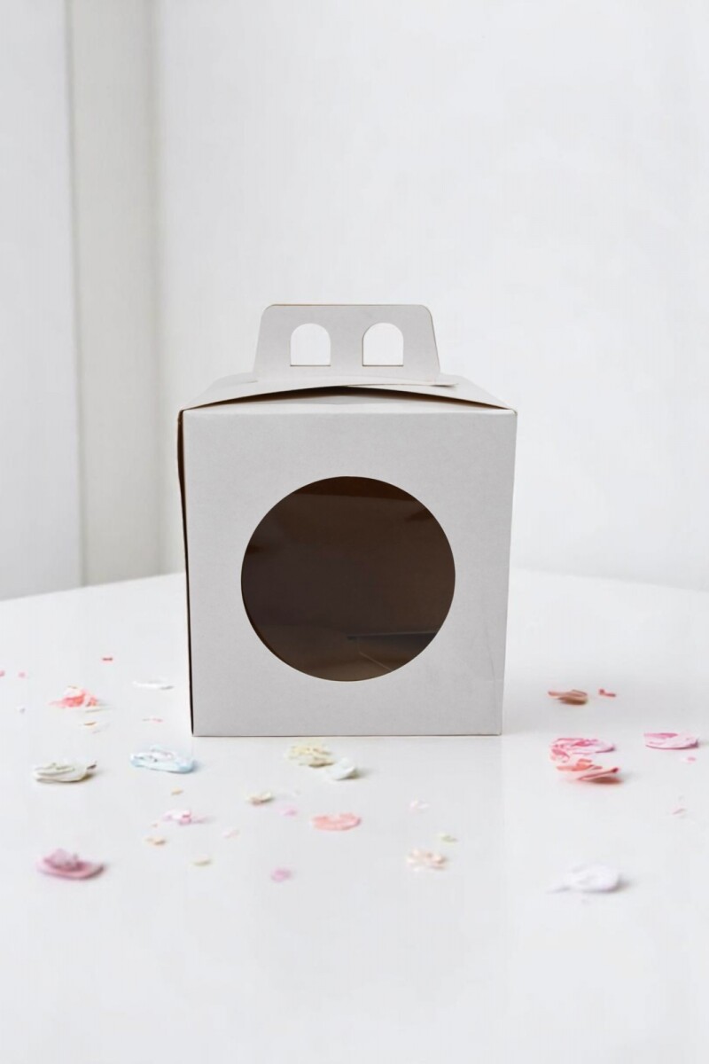 Caja 13x13x12 con visor + asa. - BLANCO 