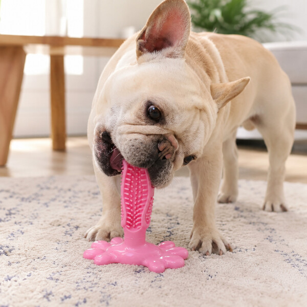 Juguete Para Perros Dental Ventosa Anti Sarro Resistente Color Rosa